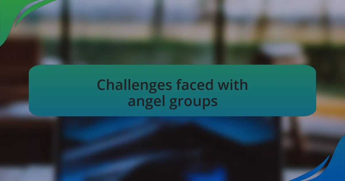 Challenges faced with angel groups