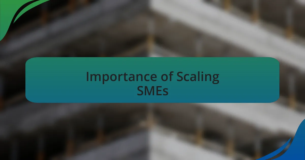 Importance of Scaling SMEs