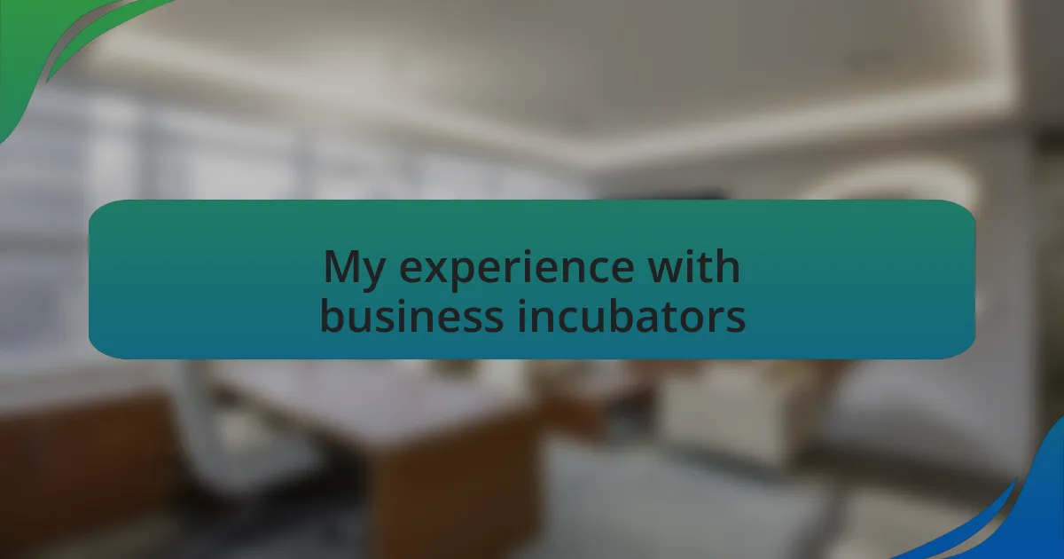 My experience with business incubators