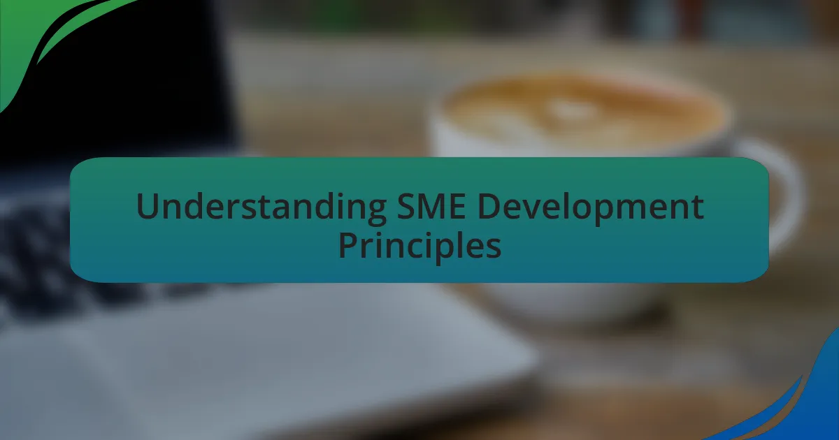 Understanding SME Development Principles